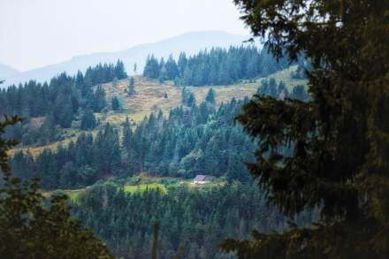 Le Chambard | Hikes in Kaysersberg