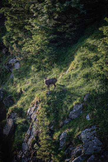 Noel en Alsace - Le Chambard