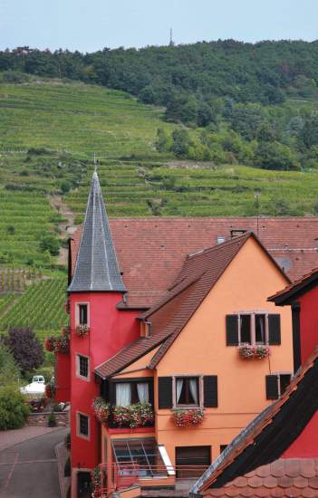 Le Chambard | Hikes in Kaysersberg