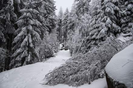 Le Chambard | Hikes in Kaysersberg